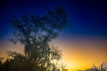 夜明けの龍郷湾