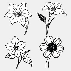 Silhouette Vector Bundle of Chocolate, Canna Lily, Balloon Flower, and Plumbago