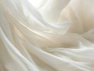 Obraz premium Soft white abstract background with elegant delicate lines