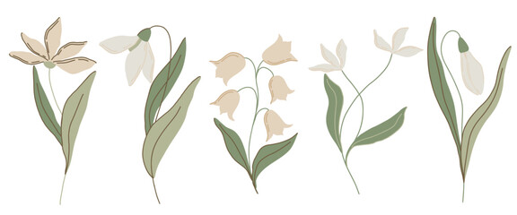 Elegant botanical flat illustration with soft green leaves and pastel pink flowers, lilies of the valley and snowdrops. Minimalist design with a muted color palette, perfect for spring decor