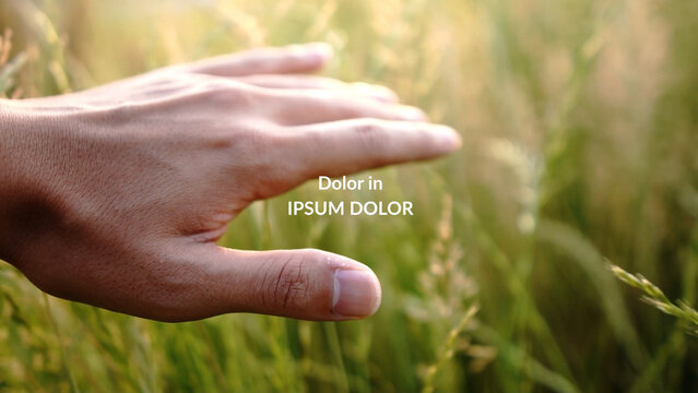 Final Credit Title 06
