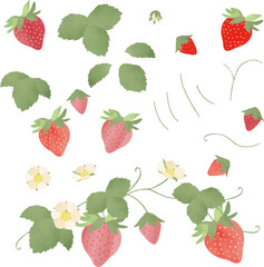 水彩で描いたイチゴのイラスト