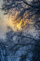 Beautiful snowy morning with a lot of snow, landscape in the town , sunrise landscape.Road in the city ,carage and streets.Sunny days and sunlights through the trees . Landscape and christmas mood