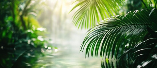 Fototapeta premium Lush tropical rainforest with palm leaves and soft sunlight filtering through trees, hazy atmosphere, and calm water reflection, Copy Space