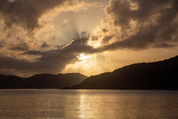 夜明けの龍郷湾とアダン