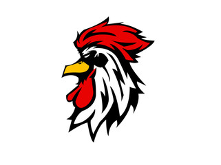 rooster isolated on white background