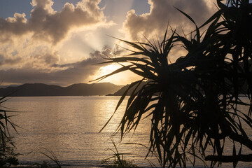 夜明けの龍郷湾とアダン