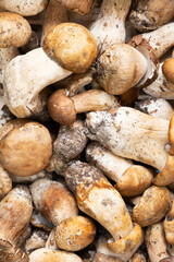 Close up of a pile of mushroom in food market