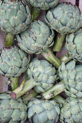 frame filling image of fresh artichokes shot in a farmers market