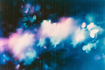 Obraz premium Abstract Floral Background