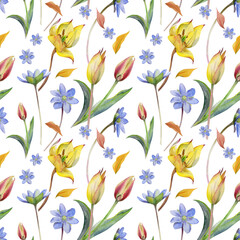 Spring flowers, grass, white forest anemone primrose, blue hepatica forget-me-not, yellow and red tulip, hand drawn in watercolor. Seamless pattern illustration, for wedding, florist shop, stationery.