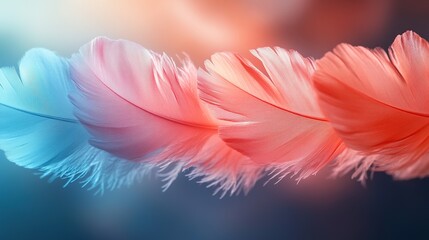 Naklejka premium Colorful feathers on a gradient background, soft focus