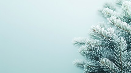 Obraz premium Frosted Blue Evergreen Spruce Branch with Soft Snow Accents on Light Cyan Background Ideal for Text Placement in Winter Conceptual Design