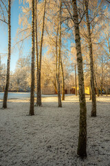 Snowy morning , beautiful landscape in the town, sunny lights through the trees ,streets with snow. Winter photography , christmas mood on the pictures, holidays mood , New year with snow 