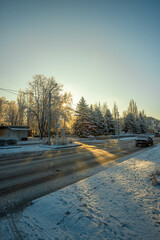 Winter january landscape in the park at morning,daylight on the picture ,beautiful morning with...