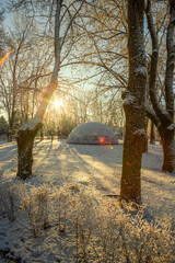 Winter january landscape in the park at morning,daylight on the picture ,beautiful morning with...
