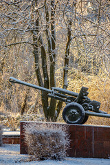 Winter january landscape in the park at morning,daylight on the picture ,beautiful morning with...