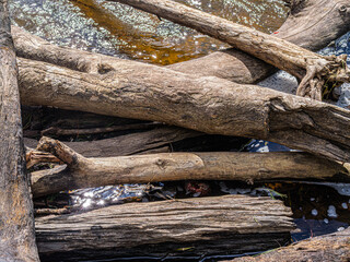 Log Jam On Side Of River