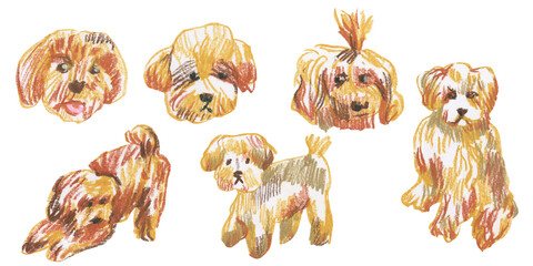 Clip art of a maltipoo drawn with wax crayons on white isolated background. Children's collection of oil pastel illustrations of dogs. Designs for greeting cards, stickers, social media, posters.