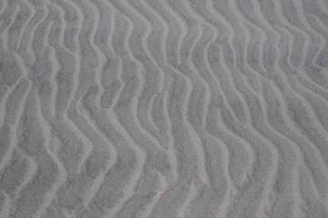 sand ripples in the sand