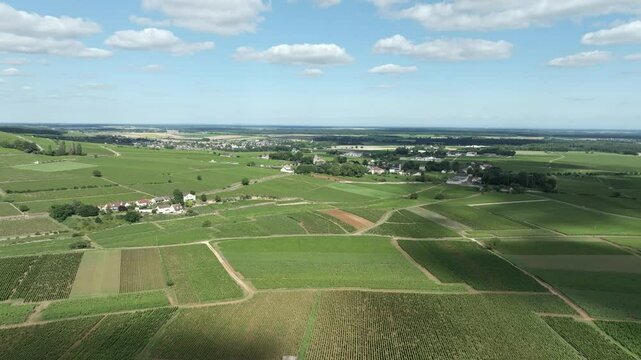 Le vigne de Bourgogne vers Beaune