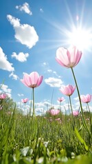 Obraz premium Pink flowers bright sunny sky with fluffy clouds