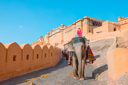 A dark-skinned tourist dressed in traditional blue Indian attire rides a colorful elephant on the way to Amber Fort - Amer Fort Jaipur - Tourists enjoy elephant ride Amber Fort, Jaipur, India