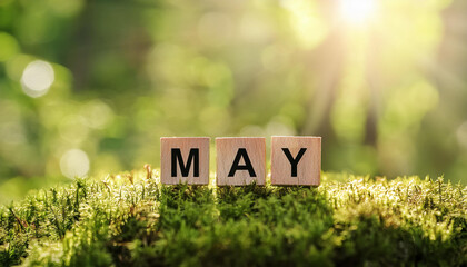 Wooden blocks with word May, natural green backdrop. New month. Spring time concept.