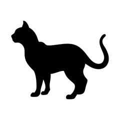 cat icon design silhouette 