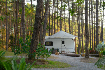 A white camper van parking in a pine forest. Outdoor recreation and camping experiences concept