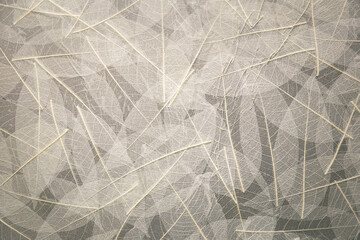 the gray texture of the background in the style of plant leaves