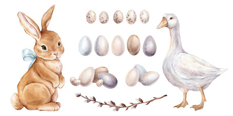 Set of chickens eggs and willow branch and goose and cute red bunny with bow for Easter design. Watercolor hand drawn illustration isolated on a white background. Painted eggs light pastel colors. © Ekatmart