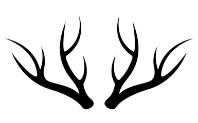 Geweih, Hirsch, Reh, Outdoor - Vektor