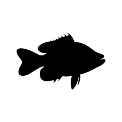 Sea bass fish silhouette icon vector illustration design on white background.