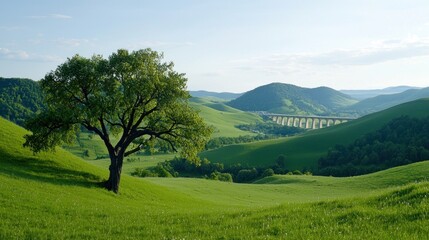 Solitary Tree on Rolling Green Hills