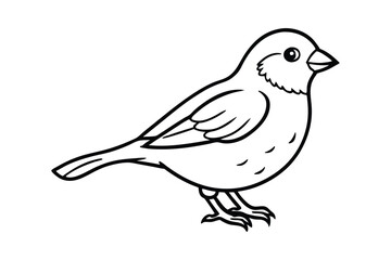 A cute Canary hand drawing clean line art illustration.eps