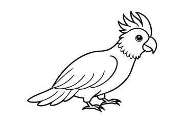 A cute Cockatoo hand drawing clean line art illustration.eps