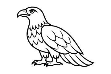 A cute Eagle hand drawing clean line art illustration.eps
