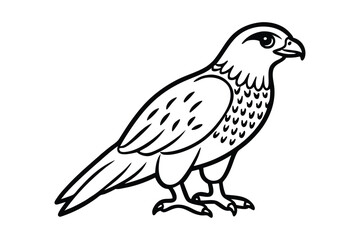 A cute Hawk hand drawing clean line art illustration.eps