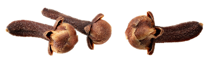dried clove spice isolated on white background. clipping path