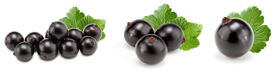 black currant with green leaf isolated on white background. clipping path
