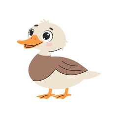 Cute duck cartoon vector Illustration isolated on a white background.