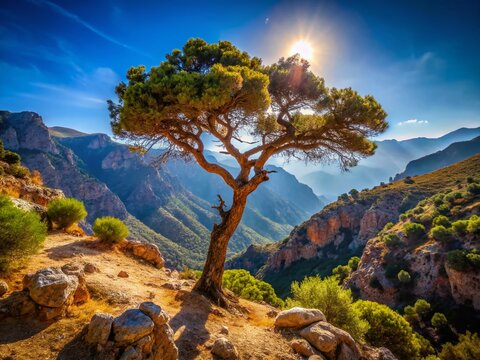 Crete Mountain Landscape, Topolia Gorge, Low Light