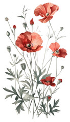 PNG Red tones flower flowers art illustration.
