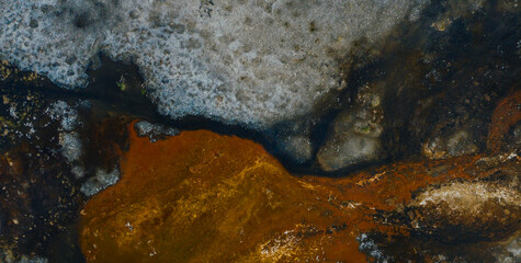 Luxurious Oil-Painted Magic for High-End Brands