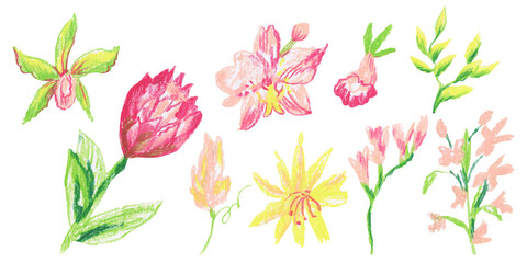 Clip art of bright tropical flowers and plants drawn with wax crayons on white isolated background. Children's botany collection of oil pastel illustrations. 