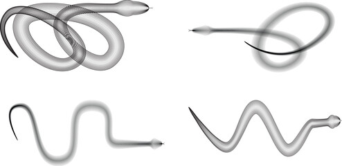 Chinese new year 2025 zodiac snake symbol collection .design elements . Year of the snake .World snake day logo set. Line art . Vector illustration