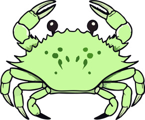 Green Crab – Marine Life Illustration