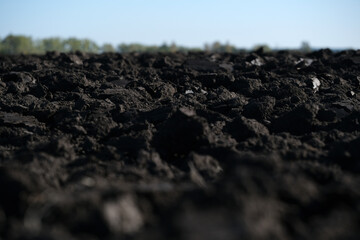 Freshly plowed chernozem before sowing. Soil texture in agriculture. Freshly plowed field. Close up