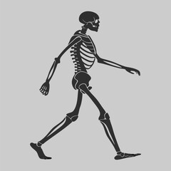 human skeleton silhouette vector design art and illustration